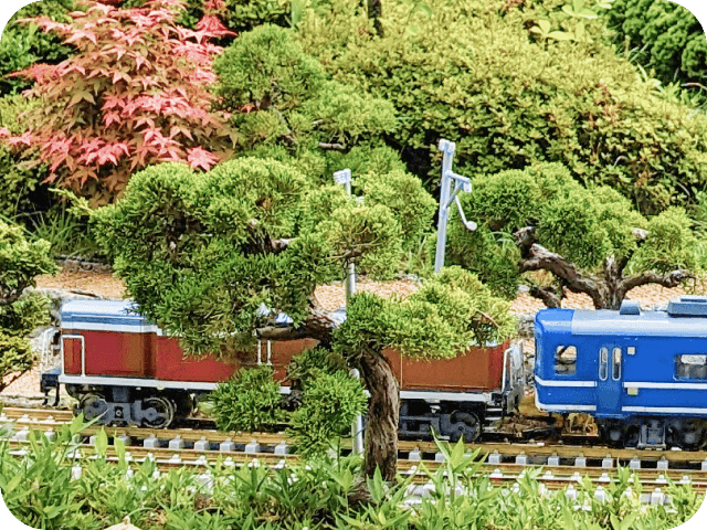 ENJOY05 植栽を楽しむ