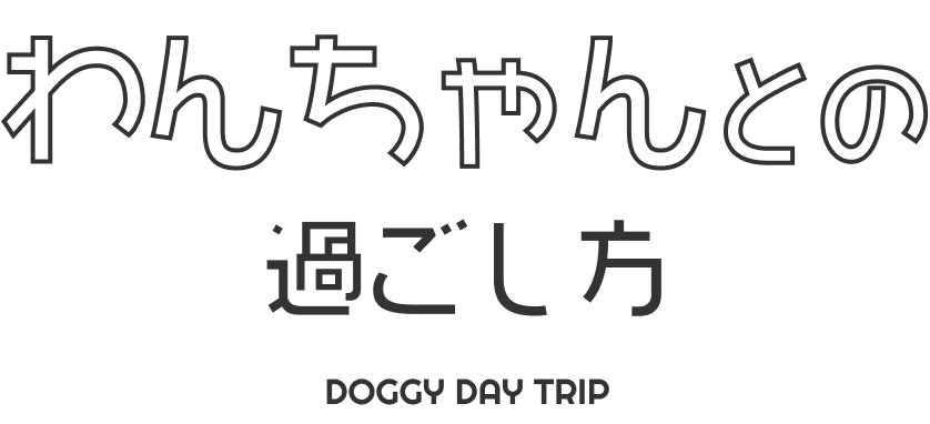 わんちゃんとの過ごし方 DOGGY DAY TRIP