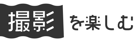 撮影を楽しむ
