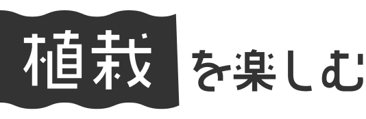 植栽を楽しむ